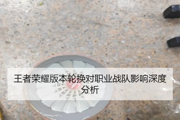 王者荣耀版本轮换对职业战队影响深度分析